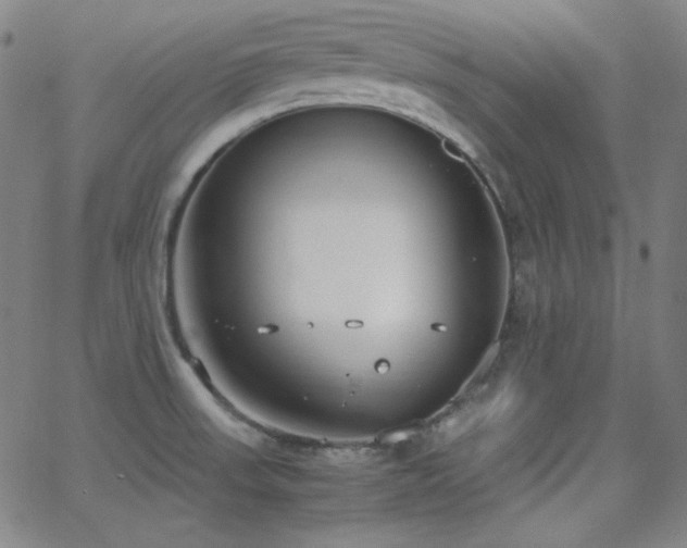 X0000062851523200601131336