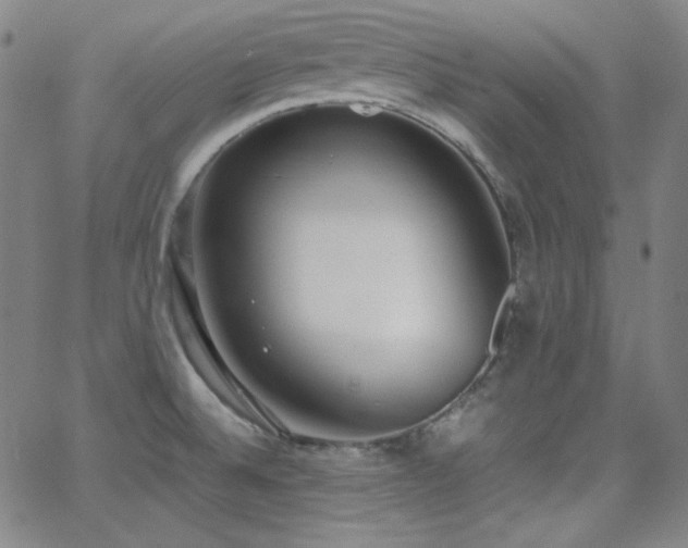 X0000062851524200601131336