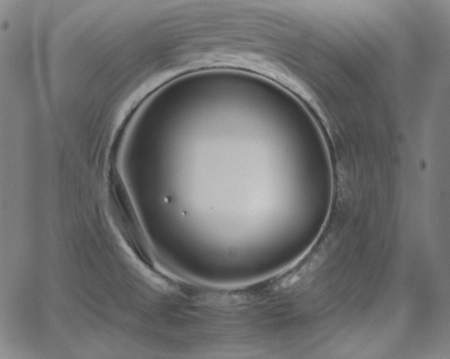 X0000062851525200601131336