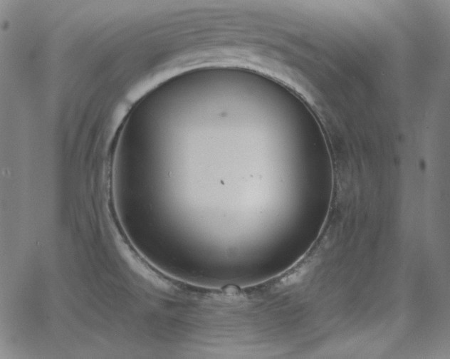 X0000062851526200601131336