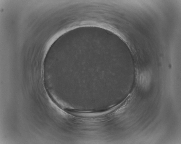 X0000062851527200601131336