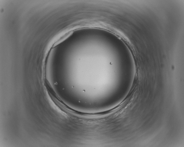 X0000062851528200601131336