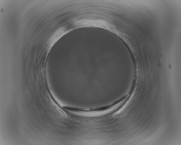 X0000062851529200601131336