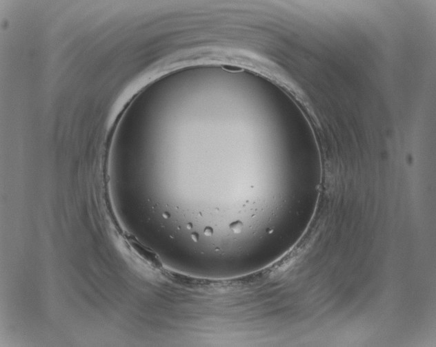 X0000062851530200601131336