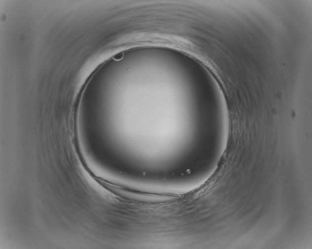 X0000062851531200601131336