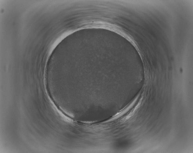 X0000062851533200601131337