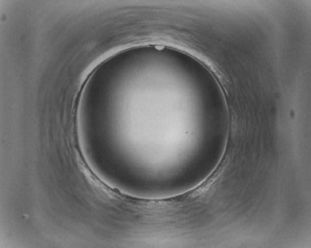 X0000062851534200601131337