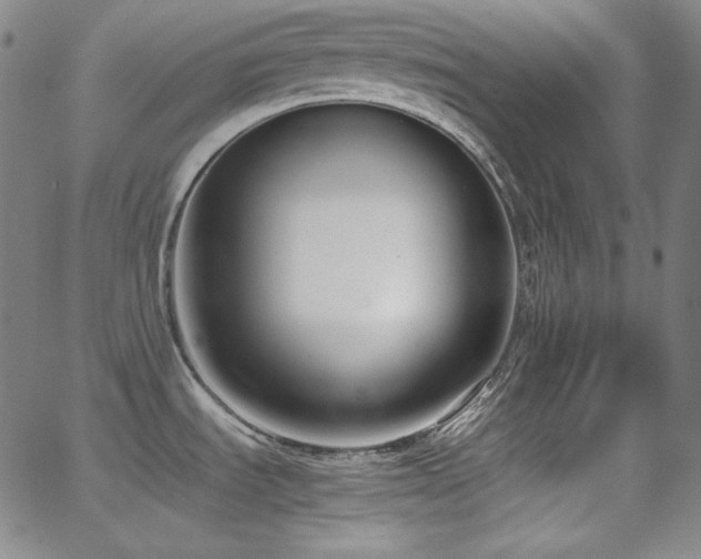 X0000062851535200601131337