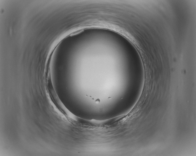 X0000062851536200601131337