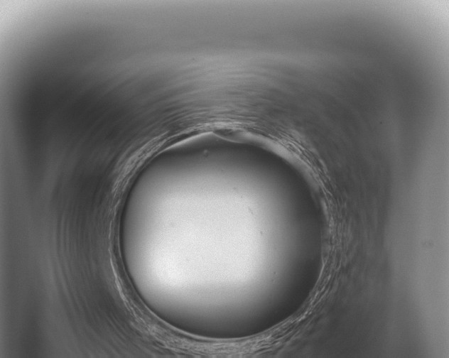 X0000062850001200601171523