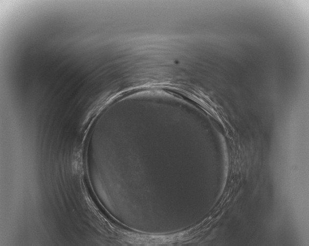 X0000062850002200601171523