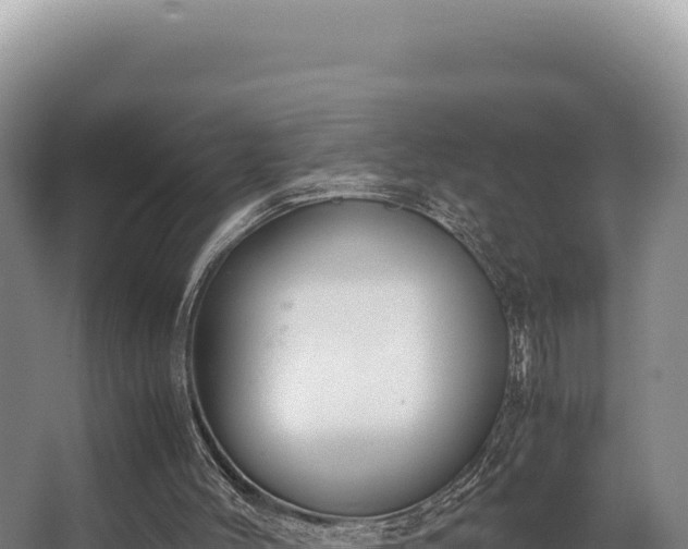 X0000062850004200601171523