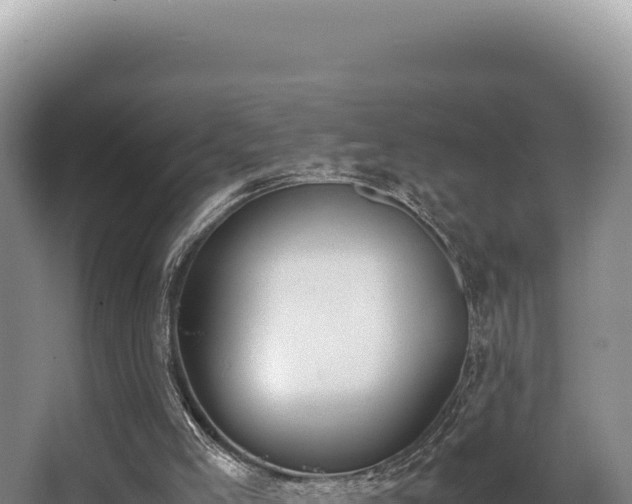 X0000062850005200601171523