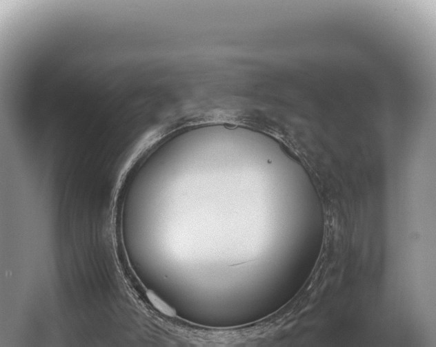 X0000062850006200601171523