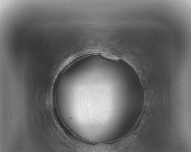 X0000062850008200601171523