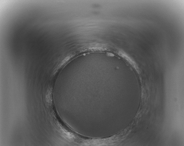 X0000062850009200601171523