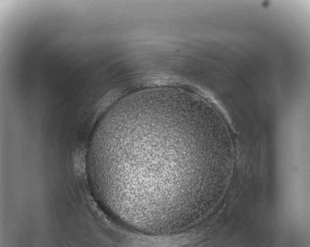 X0000062850010200601171523