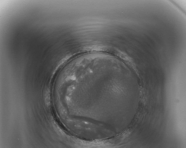 X0000062850012200601171523