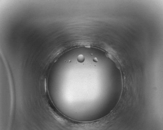 X0000062850013200601171523