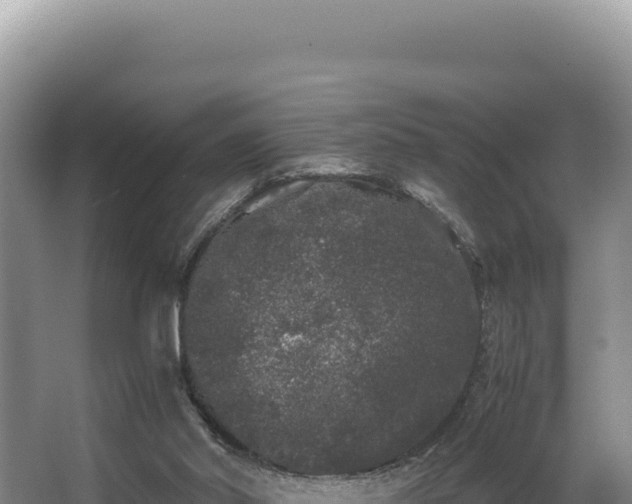 X0000062850014200601171523