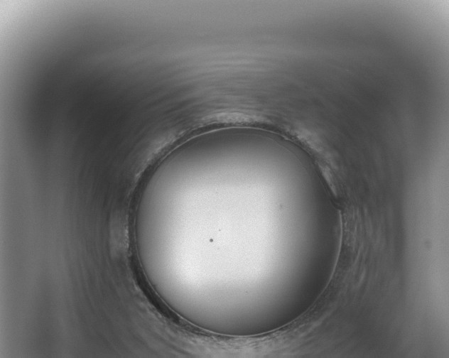 X0000062850015200601171523