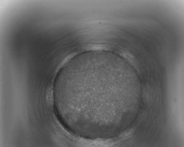 X0000062850016200601171523