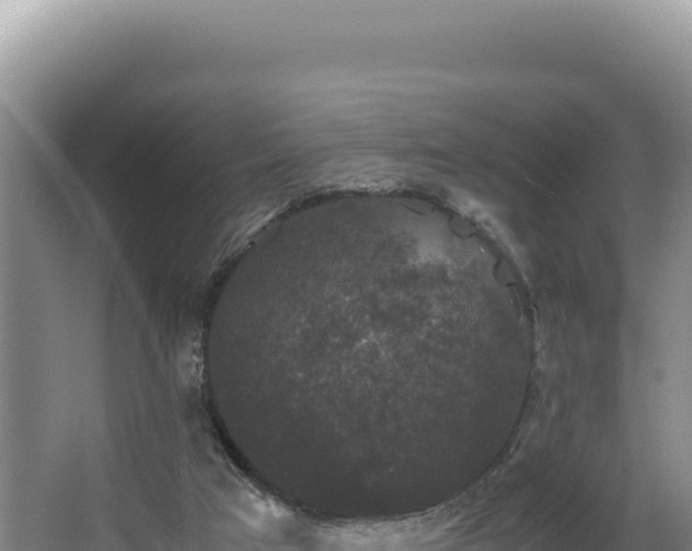 X0000062850017200601171523