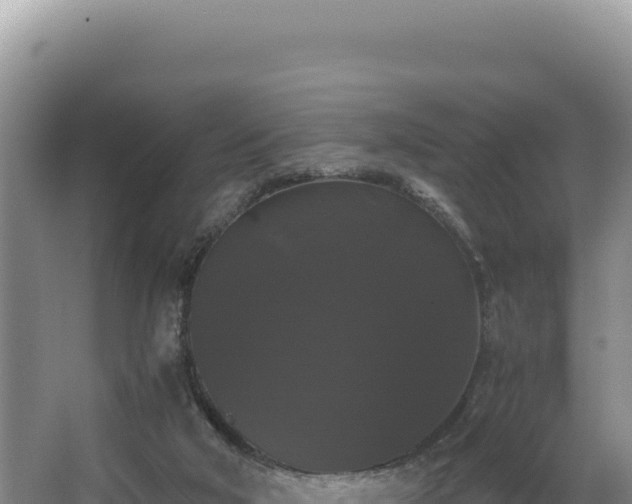 X0000062850018200601171523