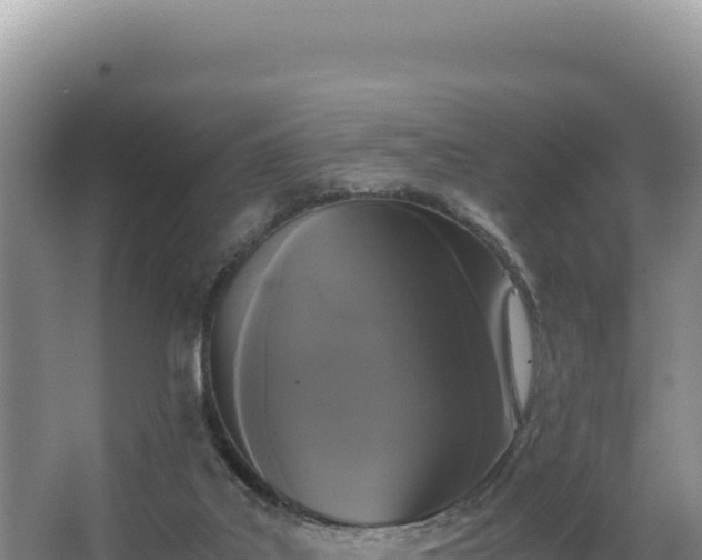 X0000062850019200601171523