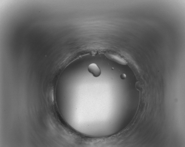 X0000062850021200601171523