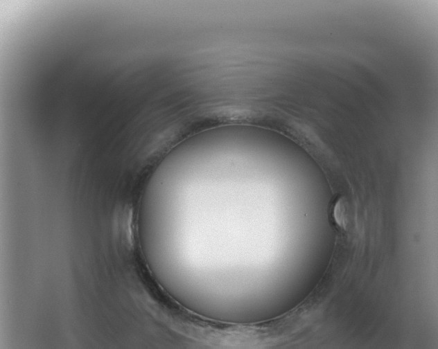 X0000062850024200601171523