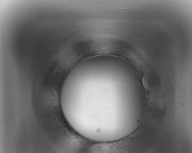 X0000062850025200601171523