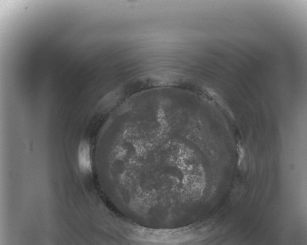 X0000062850026200601171523