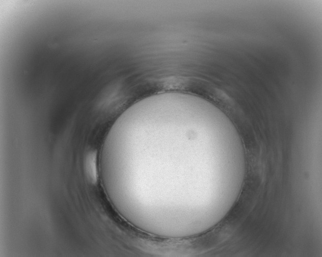 X0000062850028200601171523