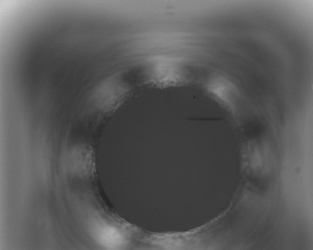 X0000062850029200601171523