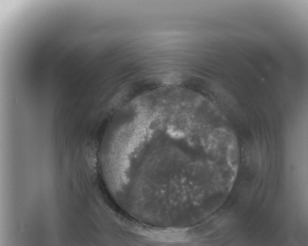 X0000062850032200601171523