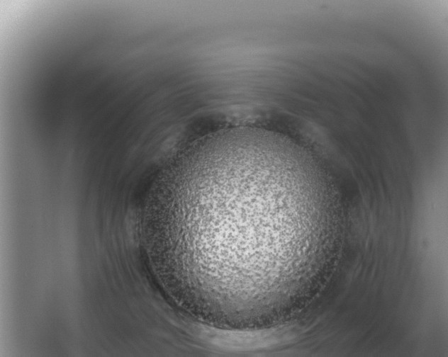 X0000062850034200601171523