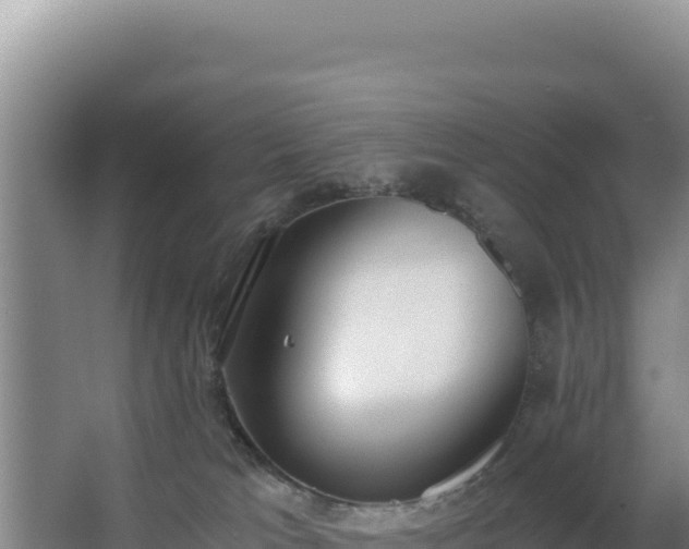 X0000062850037200601171522