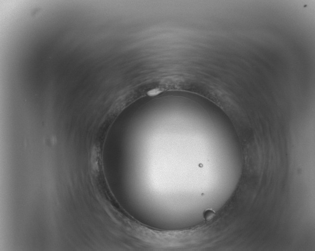 X0000062850038200601171522