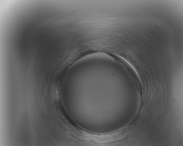 X0000062850039200601171522