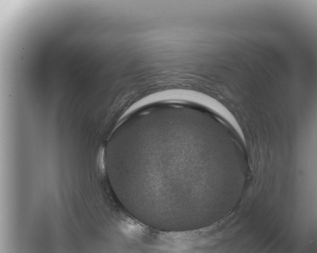 X0000062850041200601171522