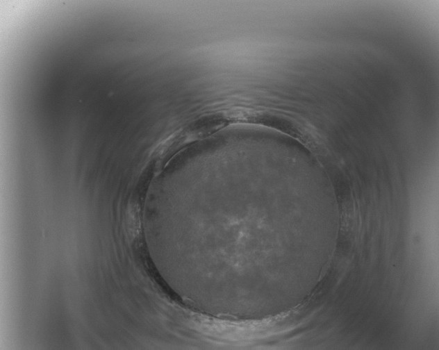 X0000062850043200601171522