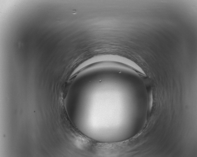 X0000062850045200601171522