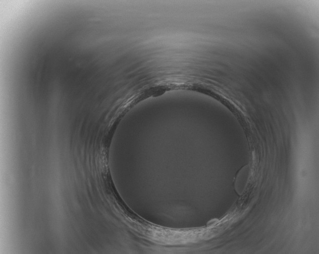 X0000062850048200601171522