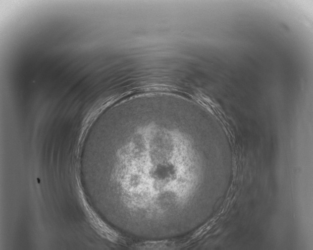 X0000062850049200601171521