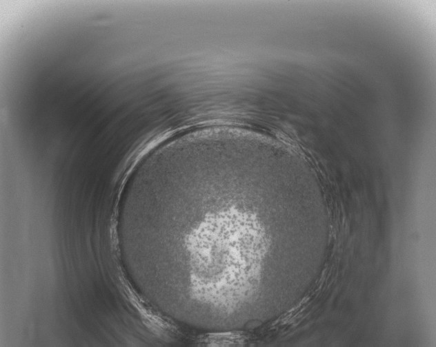 X0000062850050200601171521