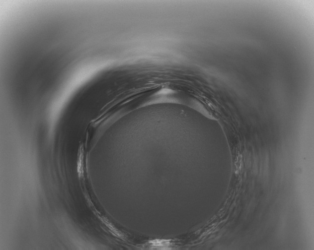 X0000062850052200601171522