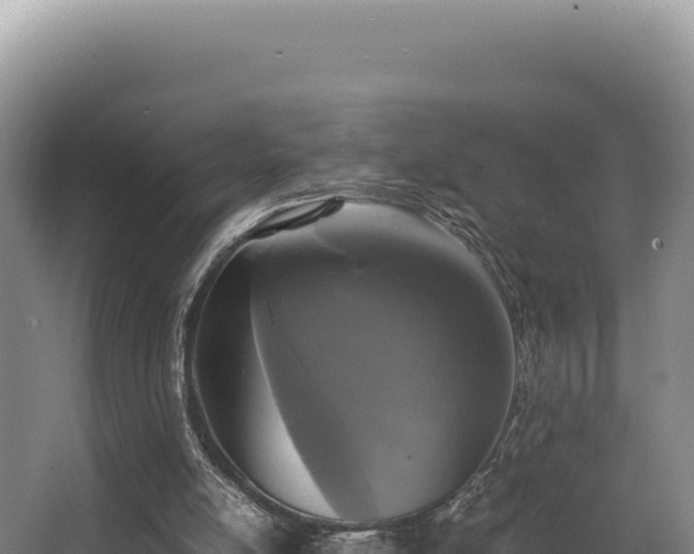 X0000062850054200601171522