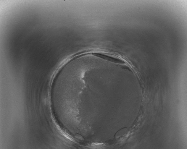 X0000062850055200601171522