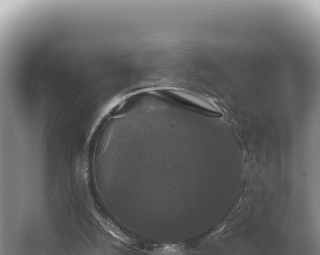 X0000062850056200601171522